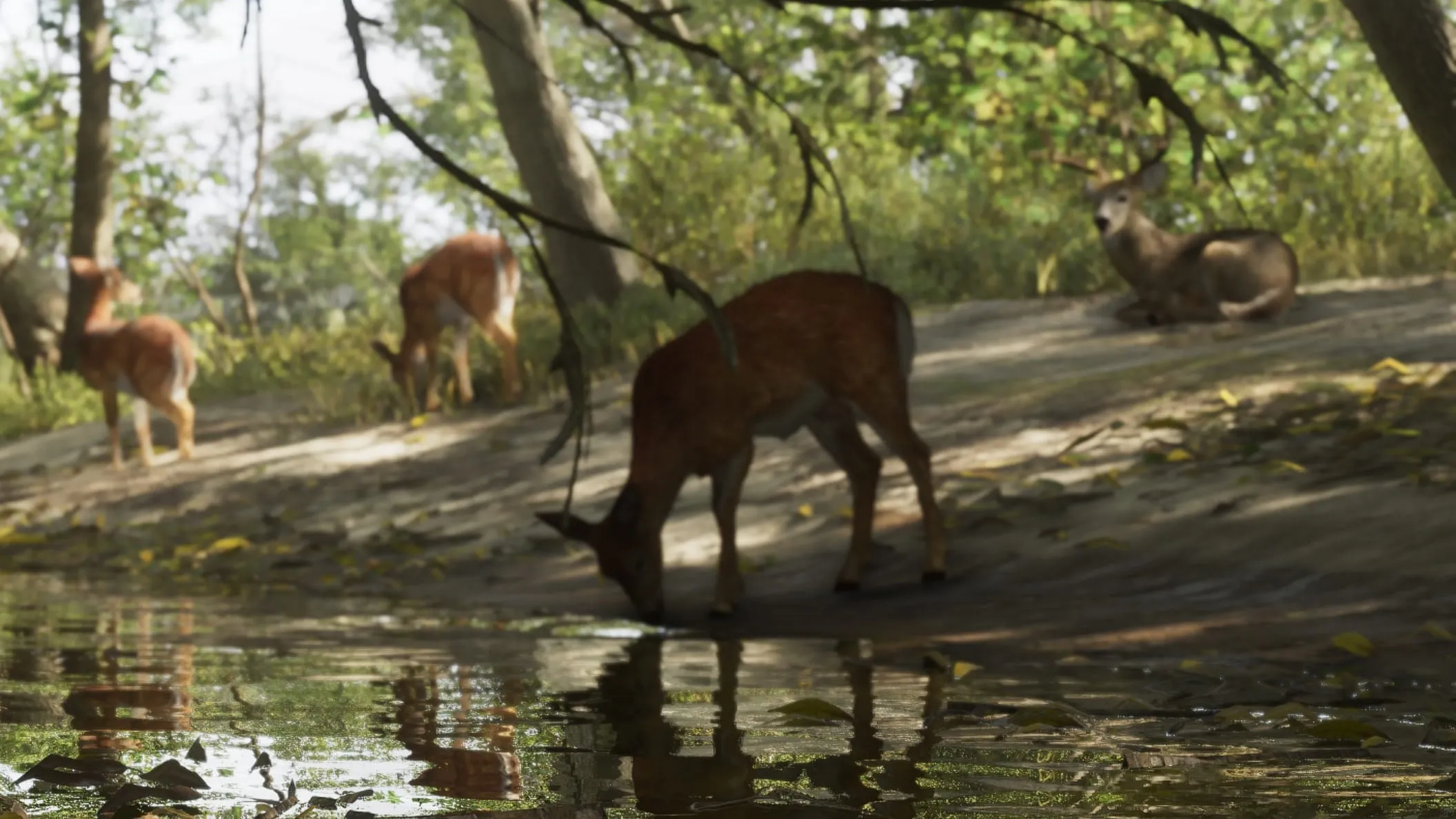 Screenshot ufficiale di GTA 6: un branco di cervi beve da un ruscello nel Mount Kalaga National Park