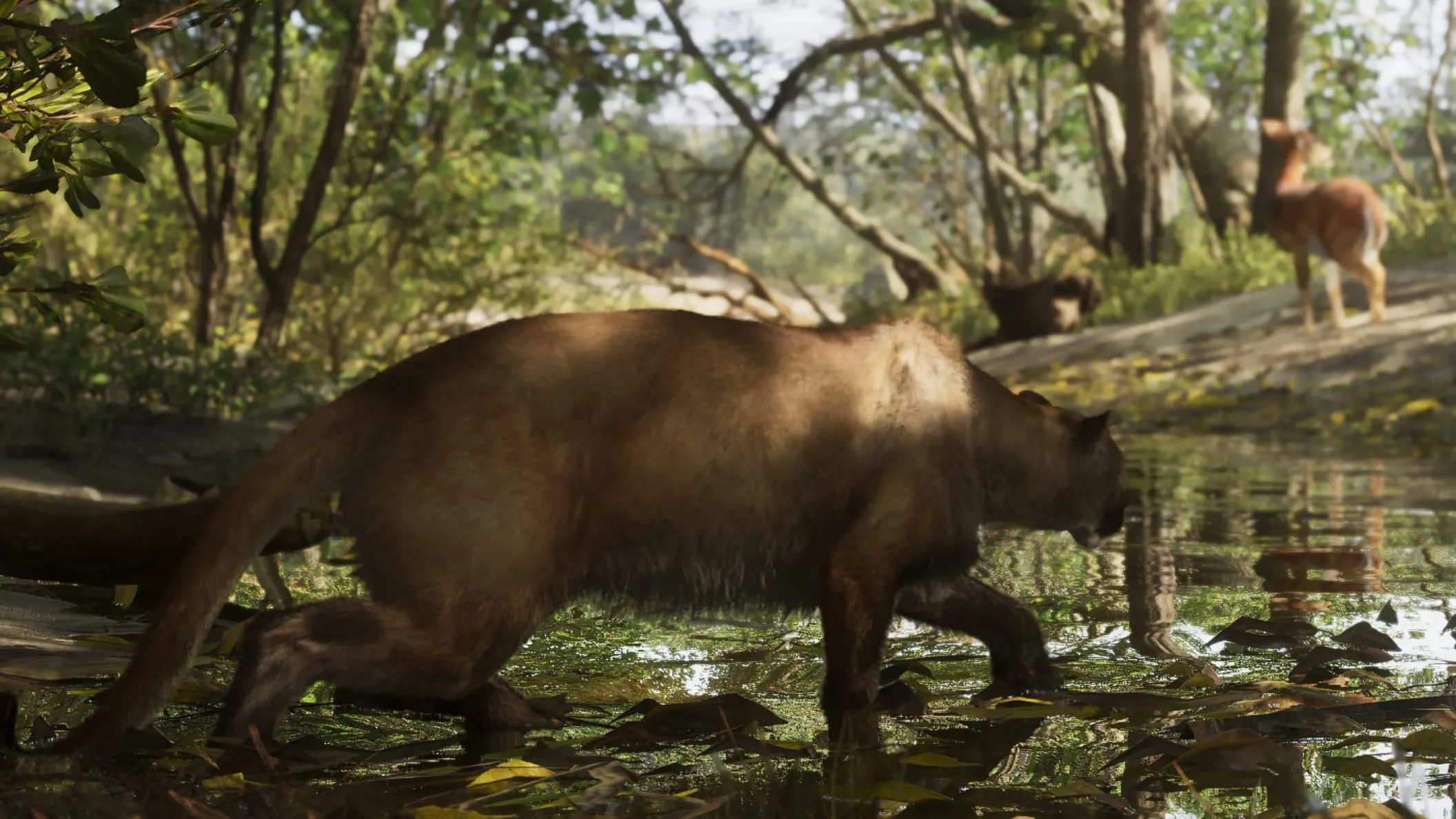 Screenshot ufficiale di GTA 6: un puma avanza nell’acqua bassa di un ruscello nel Mount Kalaga National Park