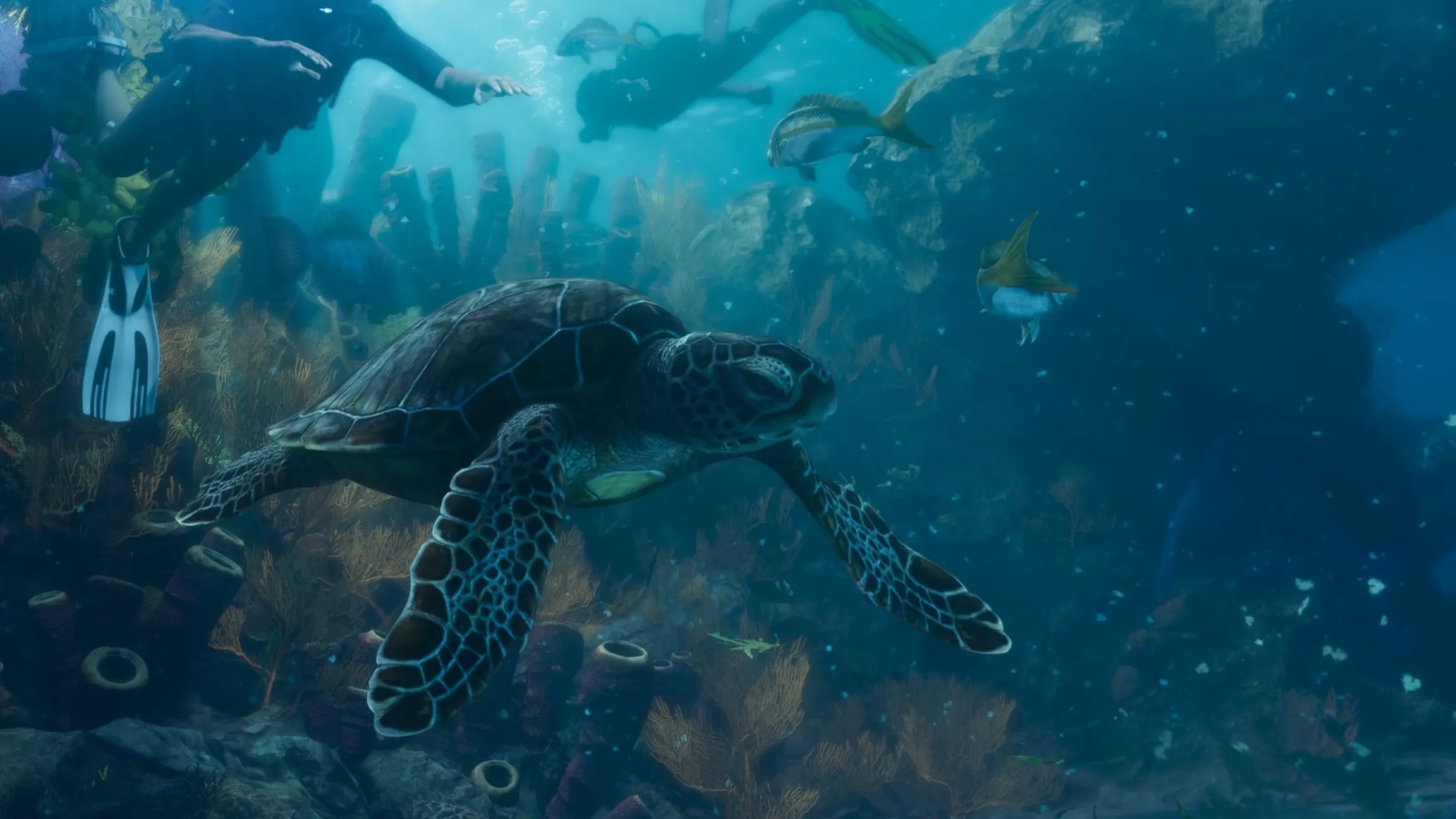 Screenshot ufficiale di GTA 6: una tartaruga marina nuota sopra la barriera corallina delle Leonida Keys, accanto a un sub